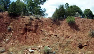 canyon up close