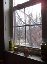 window with trees