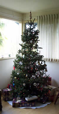the tree
